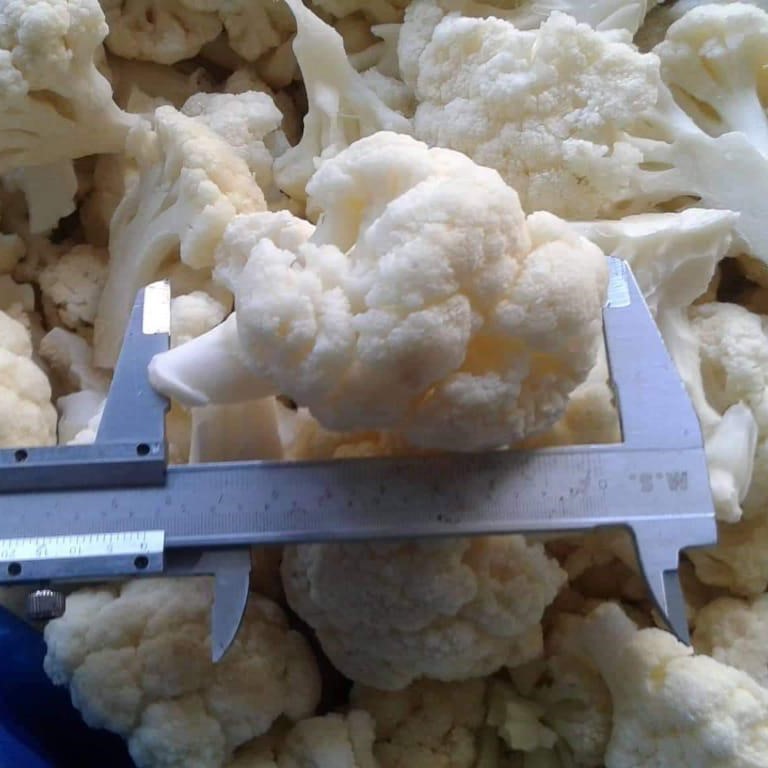 Cauliflower.for.export
