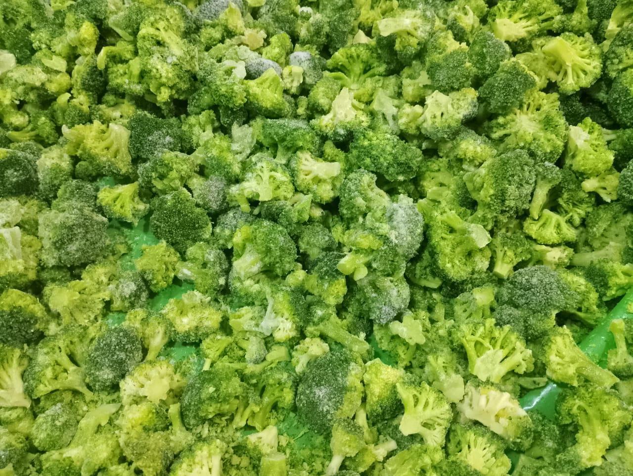 Frozen Broccoli’s Moment: Global Supply, Challenges and 2026 Outlook