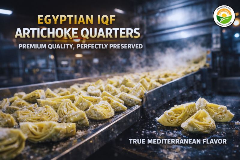  Egyptian IQF Artichoke Quarters: Premium Quality, Perfectly Preserved