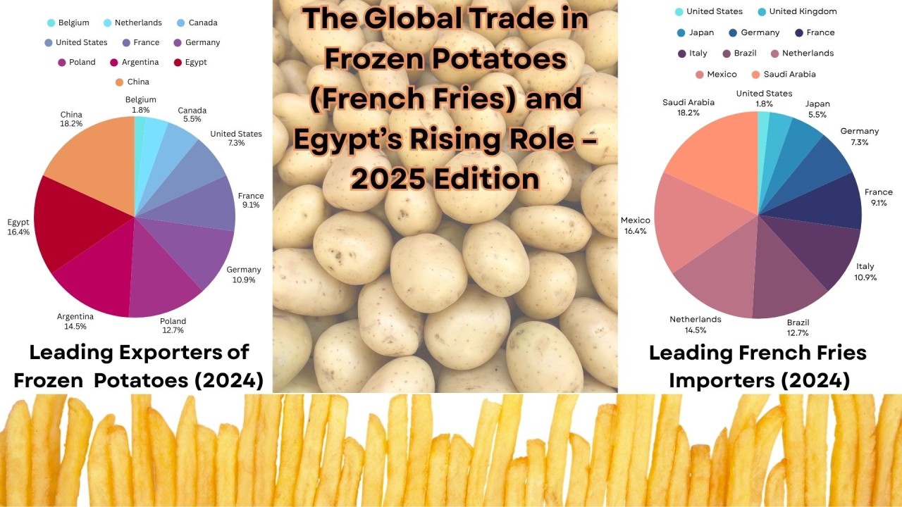 The Global Trade in Frozen Potatoes (French Fries) and Egypt’s Rising Role – 2025 Edition