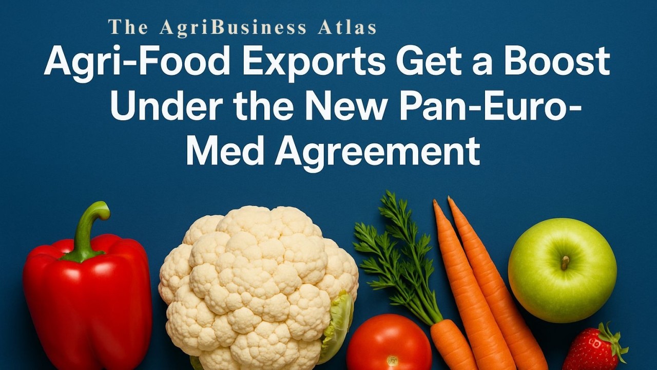 Agri-Food Exports Get a Boost Under the New Pan-Euro-Med Agreement - Handbook